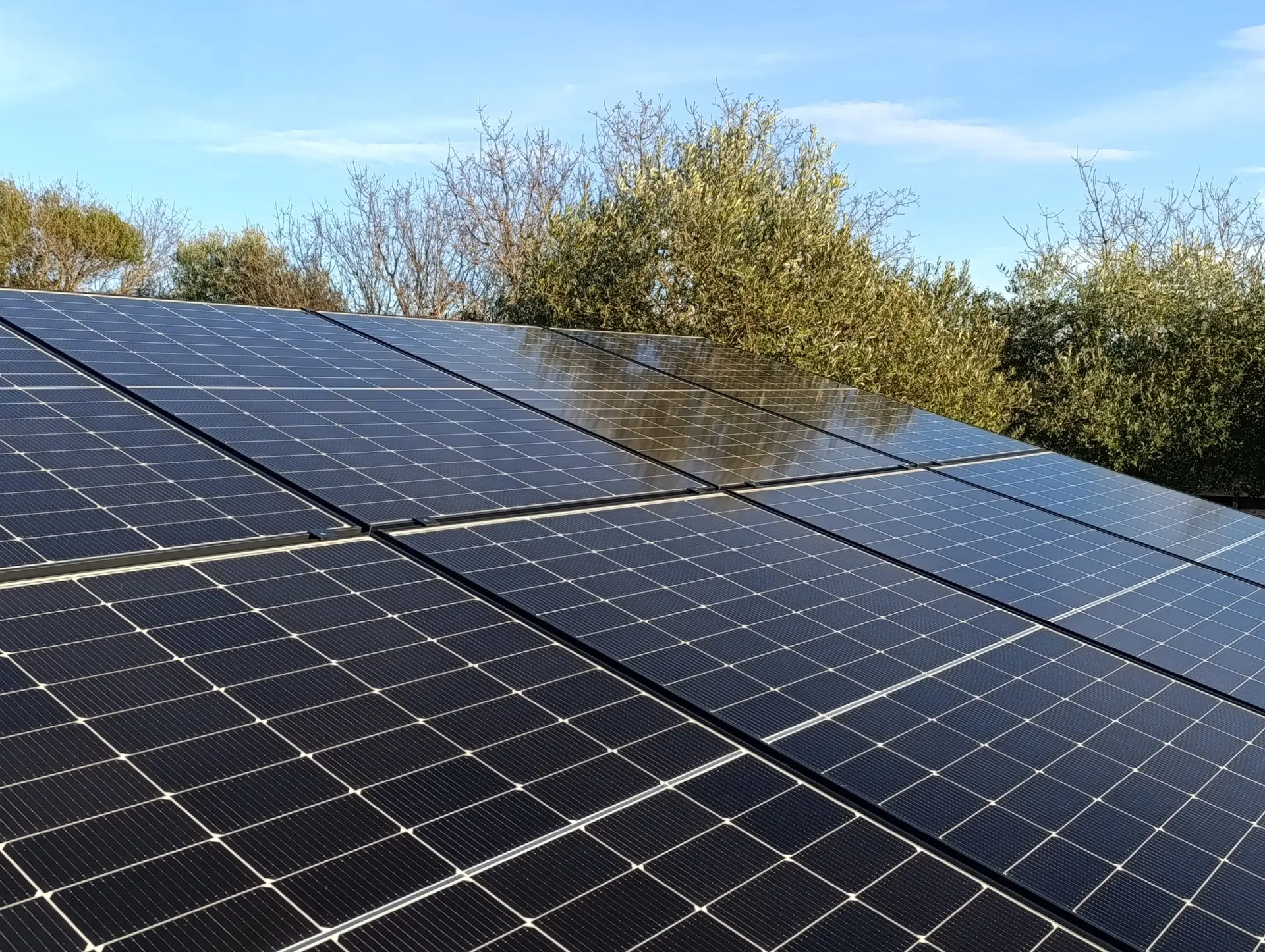 5 IMG_20241228_150023